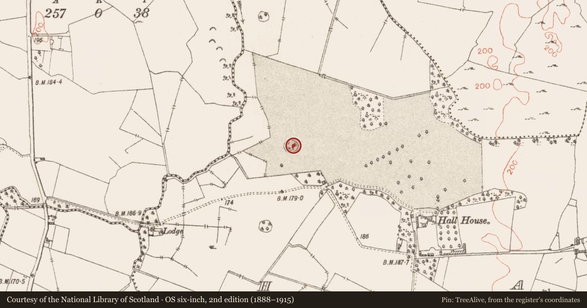 Ordnance Survey six-inch map, 2nd edition (1888–1915) covering the location of Ringfort - rath, Hall, County Westmeath, with a pin at the register's coordinates