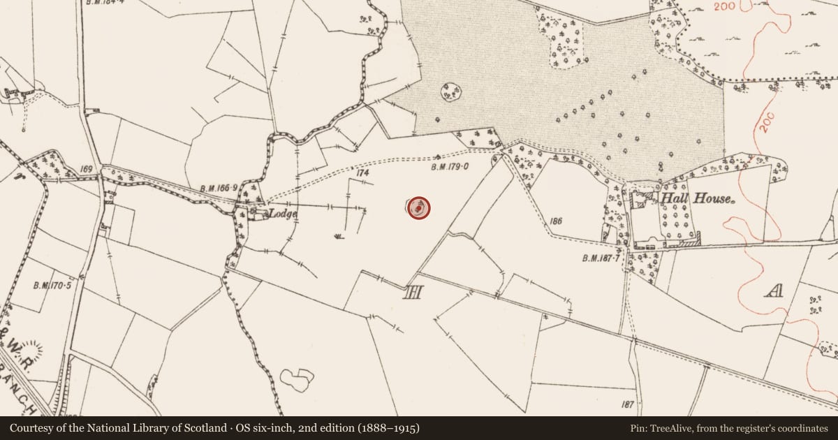 Ordnance Survey six-inch map, 2nd edition (1888–1915) covering the location of Ringfort - rath, Hall, County Westmeath, with a pin at the register's coordinates