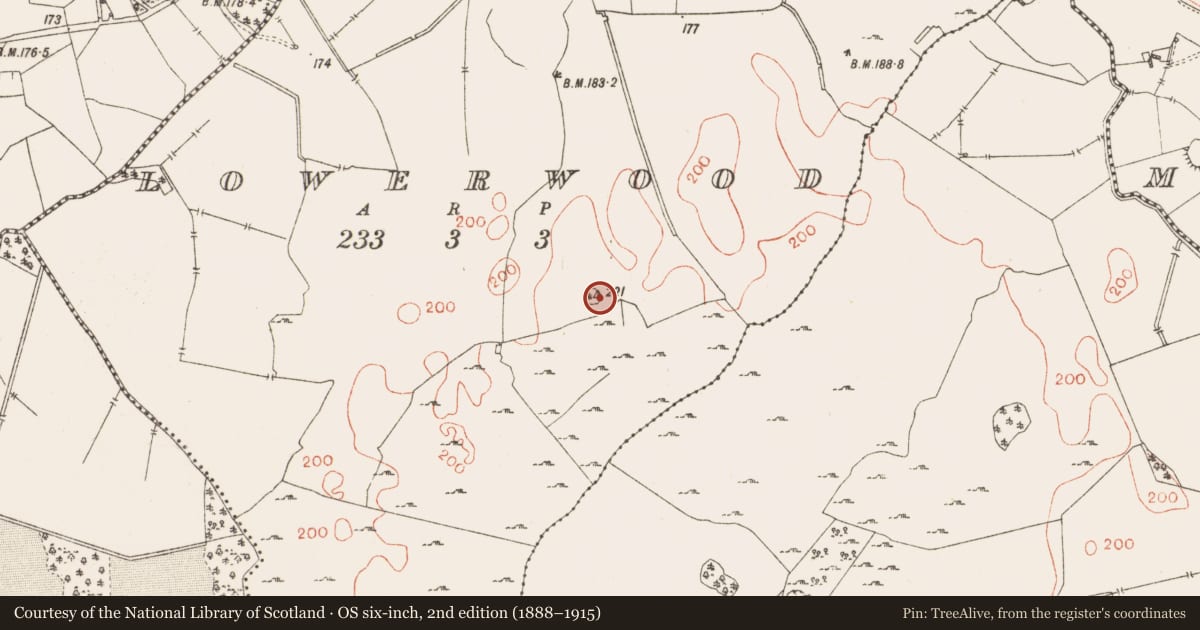 Ordnance Survey six-inch map, 2nd edition (1888–1915) covering the location of Ringfort - rath, Lowerwood, County Westmeath, with a pin at the register's coordinates