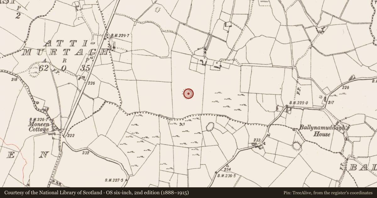 Ordnance Survey six-inch map, 2nd edition (1888–1915) covering the location of Ringfort - rath, Ballynamuddagh, County Westmeath, with a pin at the register's coordinates