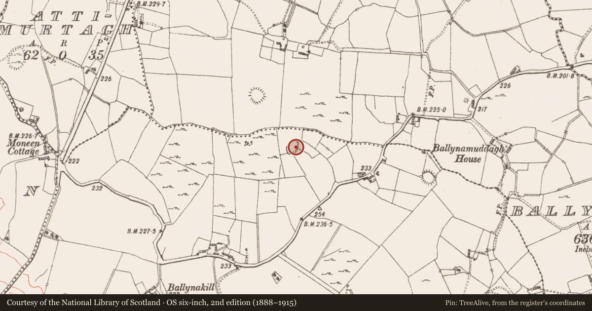 Ordnance Survey six-inch map, 2nd edition (1888–1915) covering the location of Ringfort - rath, Ballynakill, County Westmeath, with a pin at the register's coordinates