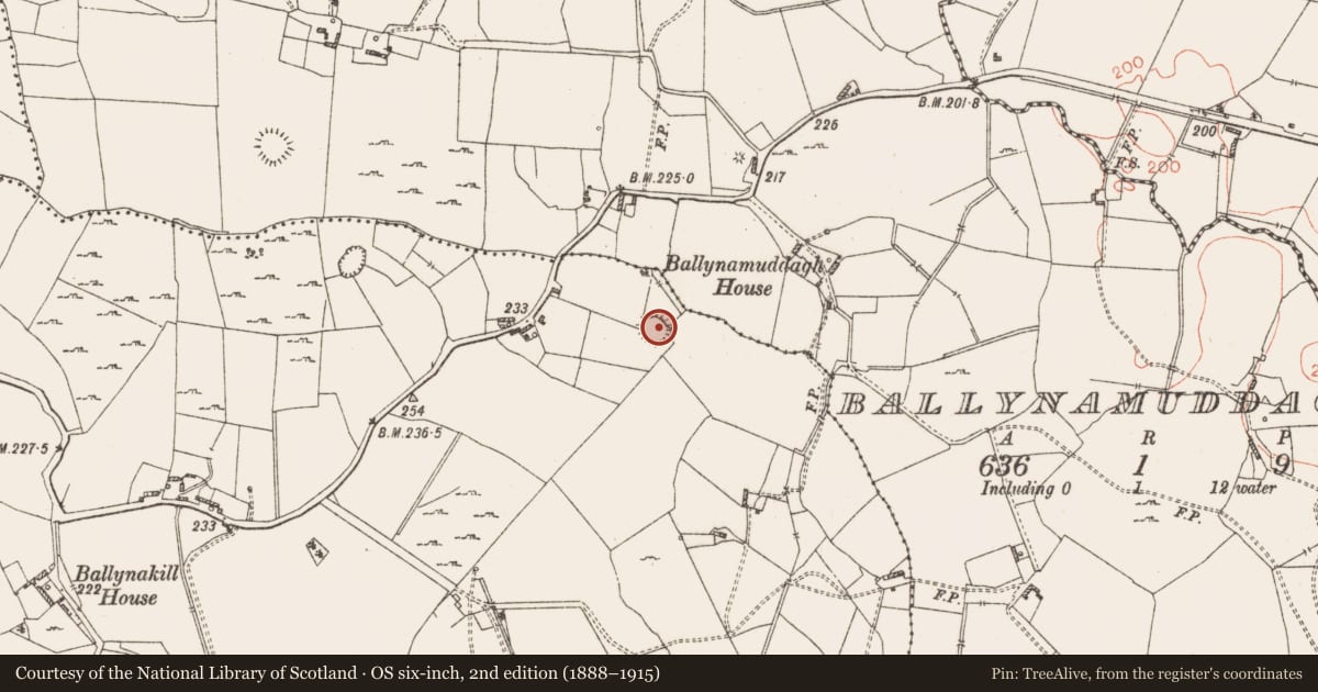 Ordnance Survey six-inch map, 2nd edition (1888–1915) covering the location of Ringfort - rath, Ballynakill, County Westmeath, with a pin at the register's coordinates