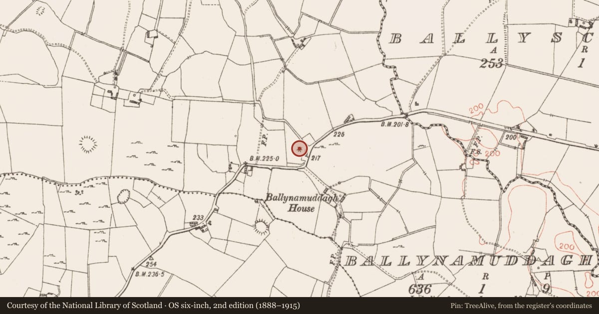 Ordnance Survey six-inch map, 2nd edition (1888–1915) covering the location of Barrow - mound barrow, Ballynamuddagh, County Westmeath, with a pin at the register's coordinates