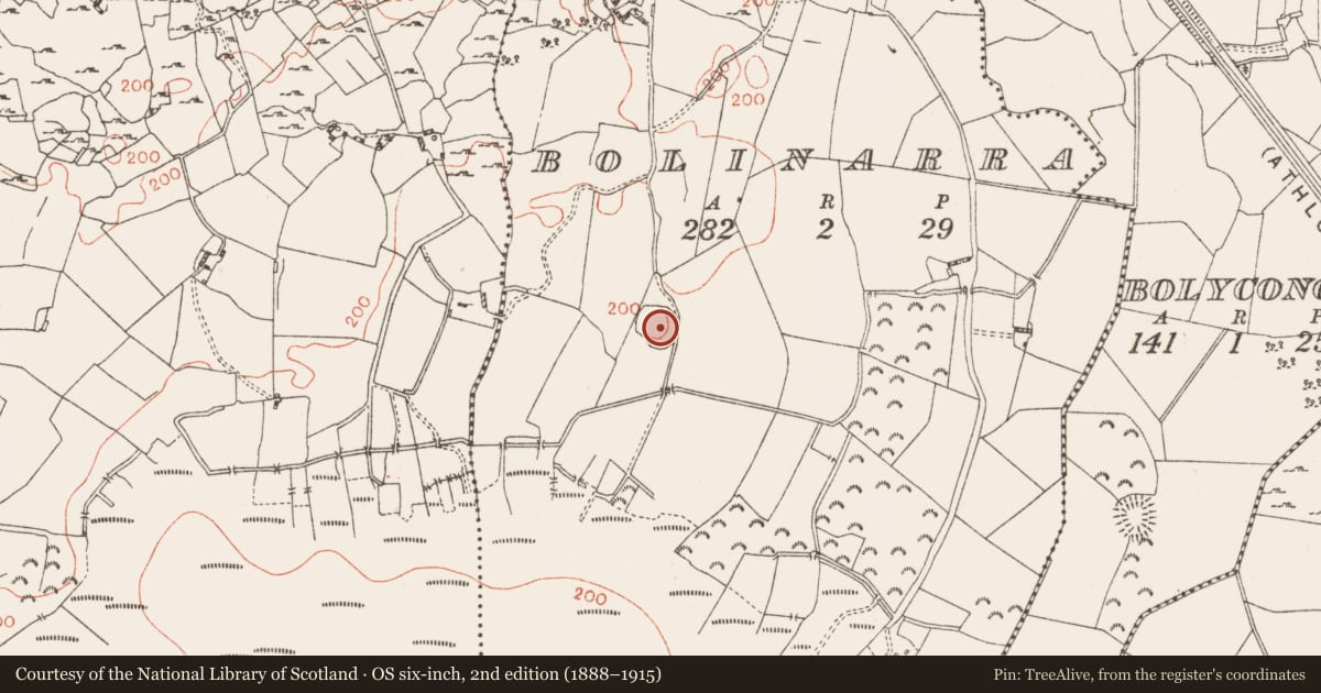 Ordnance Survey six-inch map, 2nd edition (1888–1915) covering the location of Ringfort - rath, Bolinarra, County Westmeath, with a pin at the register's coordinates