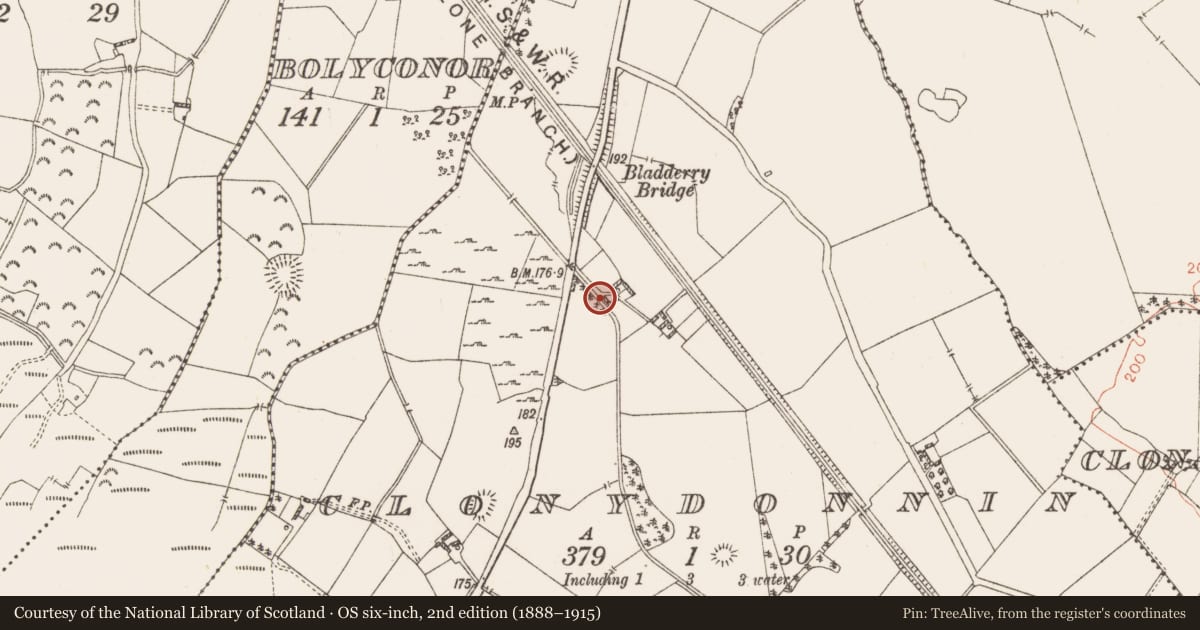 Ordnance Survey six-inch map, 2nd edition (1888–1915) covering the location of Bullaun stone, Clonydonnin, County Westmeath, with a pin at the register's coordinates