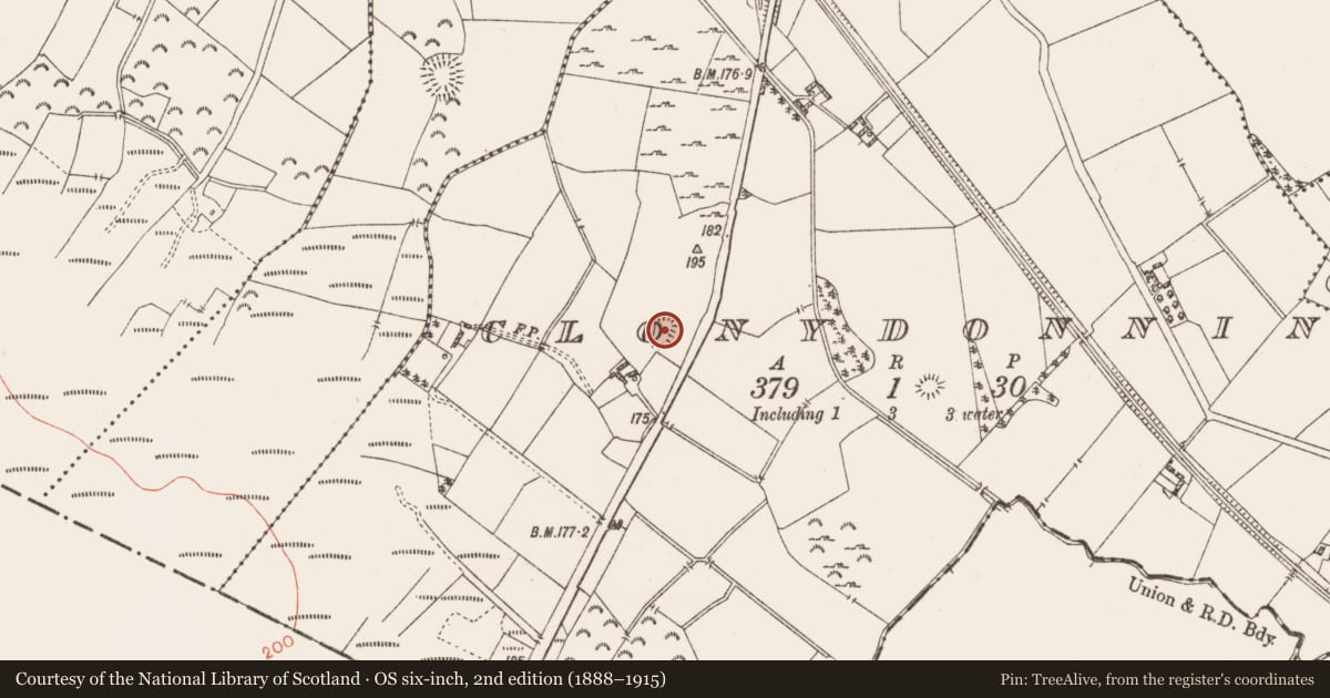 Ordnance Survey six-inch map, 2nd edition (1888–1915) covering the location of Ringfort - rath, Clonydonnin, County Westmeath, with a pin at the register's coordinates