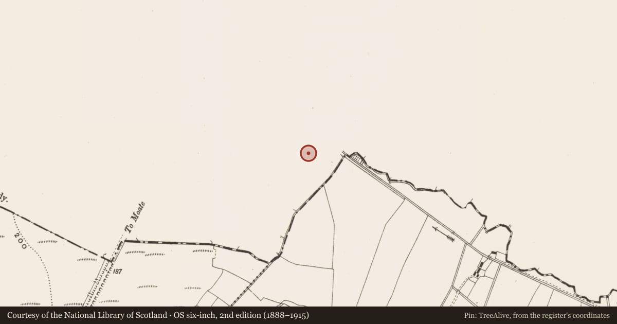 Ordnance Survey six-inch map, 2nd edition (1888–1915) covering the location of Enclosure, Clonydonnin, County Westmeath, with a pin at the register's coordinates