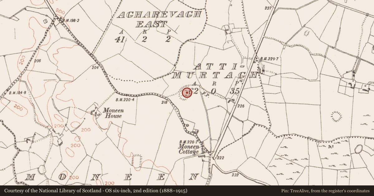 Ordnance Survey six-inch map, 2nd edition (1888–1915) covering the location of Ringfort - rath, Attimurtagh, County Westmeath, with a pin at the register's coordinates