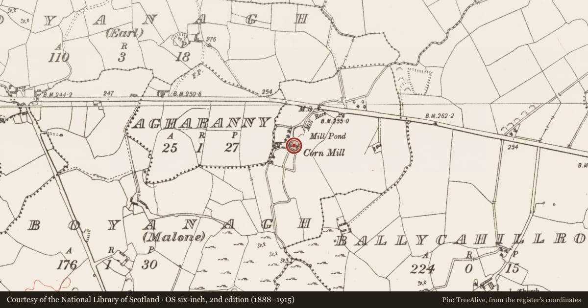 Ordnance Survey six-inch map, 2nd edition (1888–1915) covering the location of Water mill - unclassified, Boyanagh (Malone), County Westmeath, with a pin at the register's coordinates