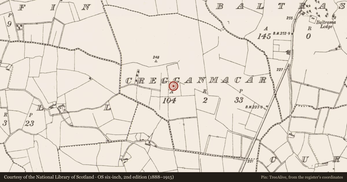 Ordnance Survey six-inch map, 2nd edition (1888–1915) covering the location of Barrow - unclassified, Cregganmacar, County Westmeath, with a pin at the register's coordinates