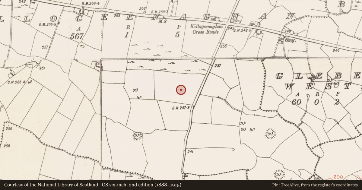 Ordnance Survey six-inch map, 2nd edition (1888–1915) covering the location of Enclosure, Killogeenaghan, County Westmeath, with a pin at the register's coordinates