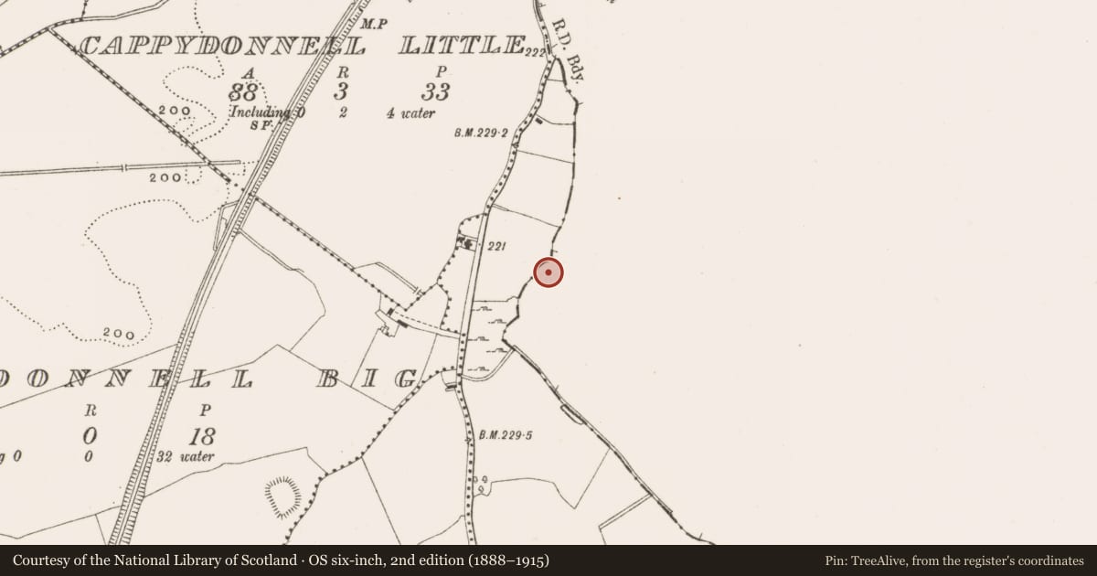 Ordnance Survey six-inch map, 2nd edition (1888–1915) covering the location of Ringfort - rath, Kilbeg, County Westmeath, with a pin at the register's coordinates