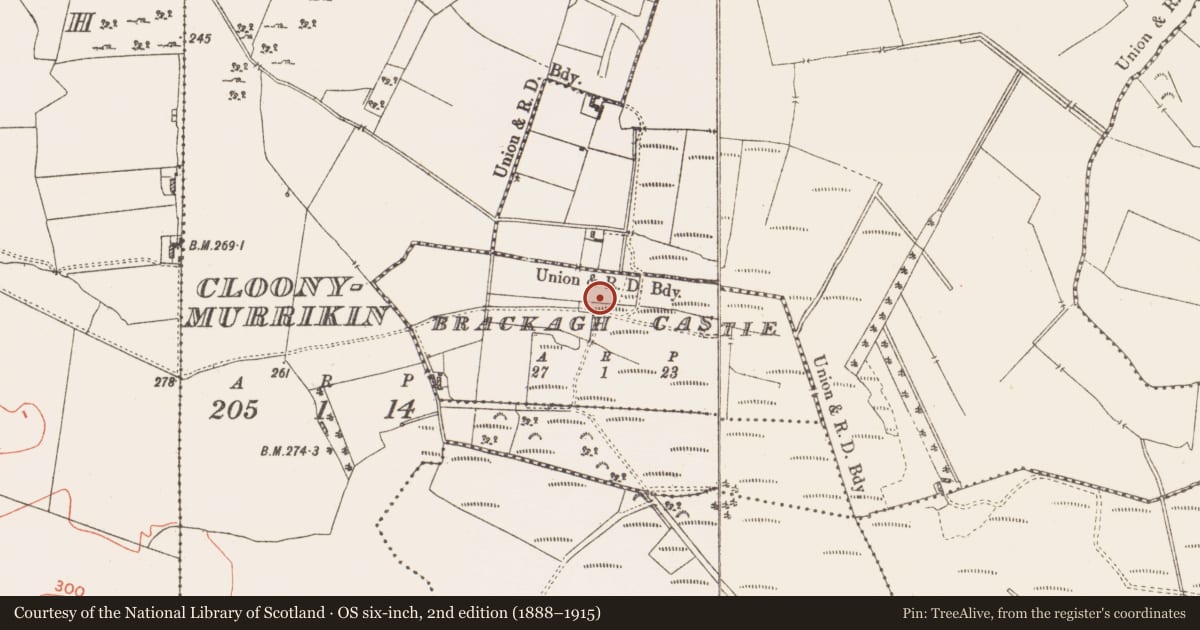 Ordnance Survey six-inch map, 2nd edition (1888–1915) covering the location of Castle - unclassified, Brackagh Castle, County Westmeath, with a pin at the register's coordinates