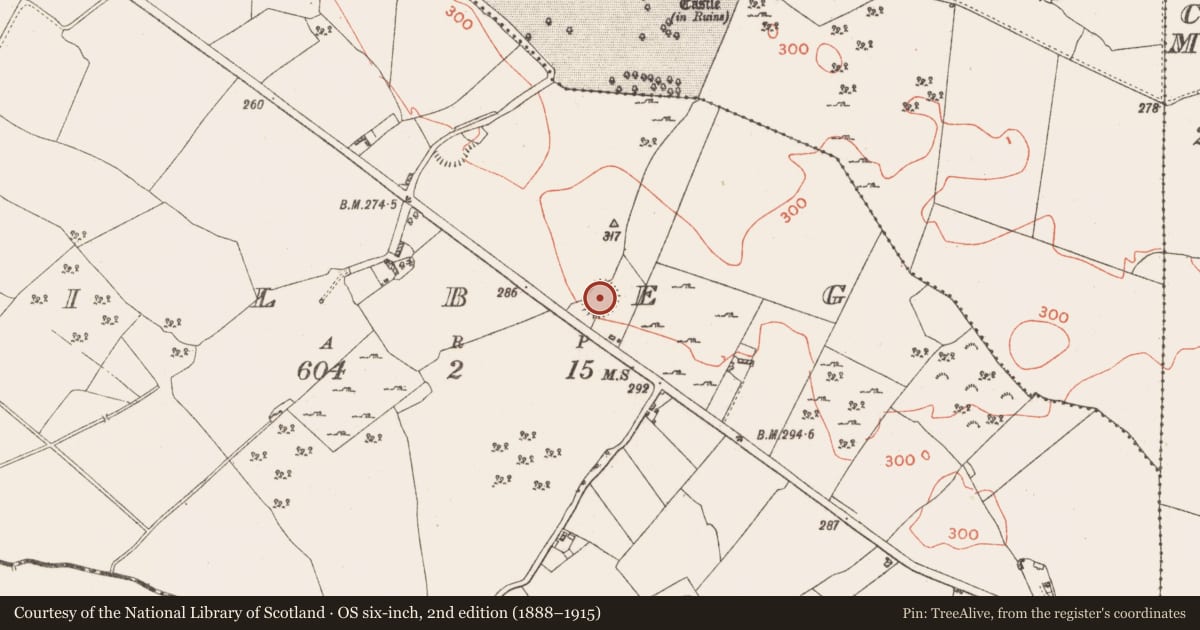 Ordnance Survey six-inch map, 2nd edition (1888–1915) covering the location of Ringfort - rath, Kilbeg, County Westmeath, with a pin at the register's coordinates