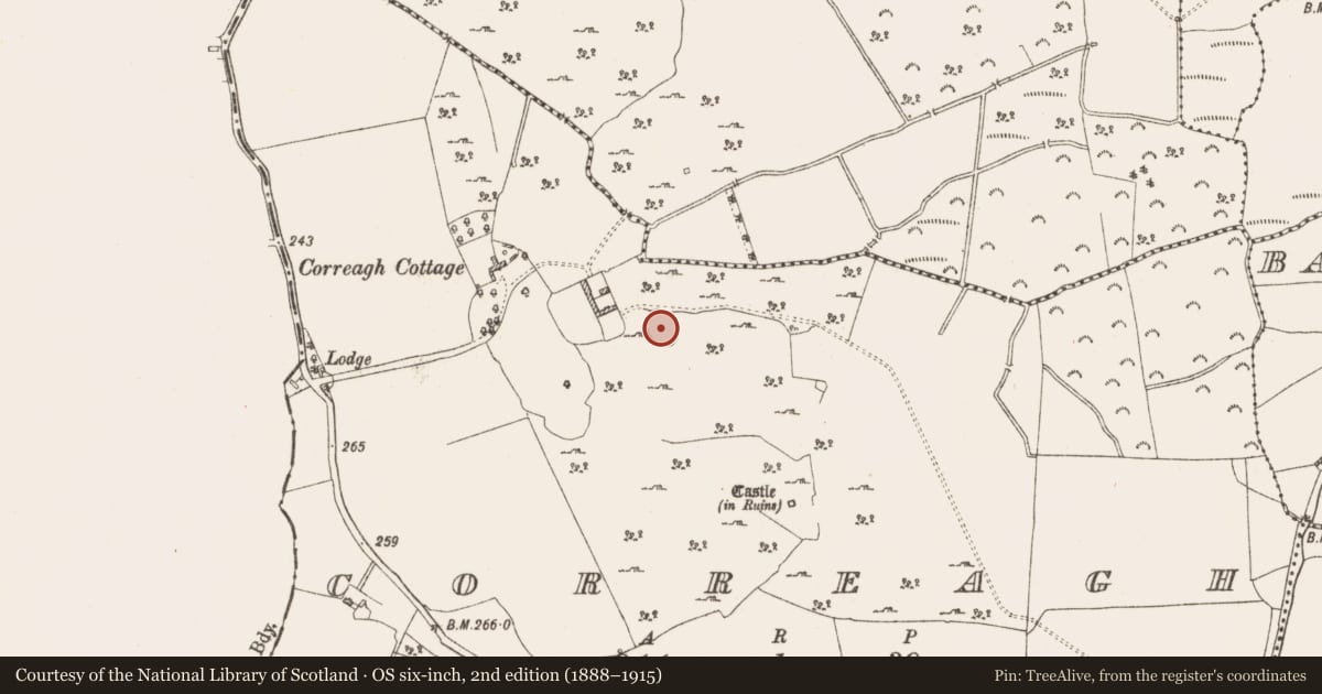 Ordnance Survey six-inch map, 2nd edition (1888–1915) covering the location of Ringfort - rath, Correagh, County Westmeath, with a pin at the register's coordinates
