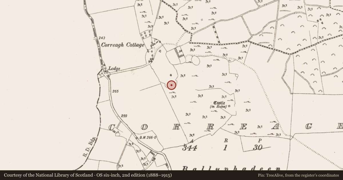 Ordnance Survey six-inch map, 2nd edition (1888–1915) covering the location of Ringfort - rath, Correagh, County Westmeath, with a pin at the register's coordinates