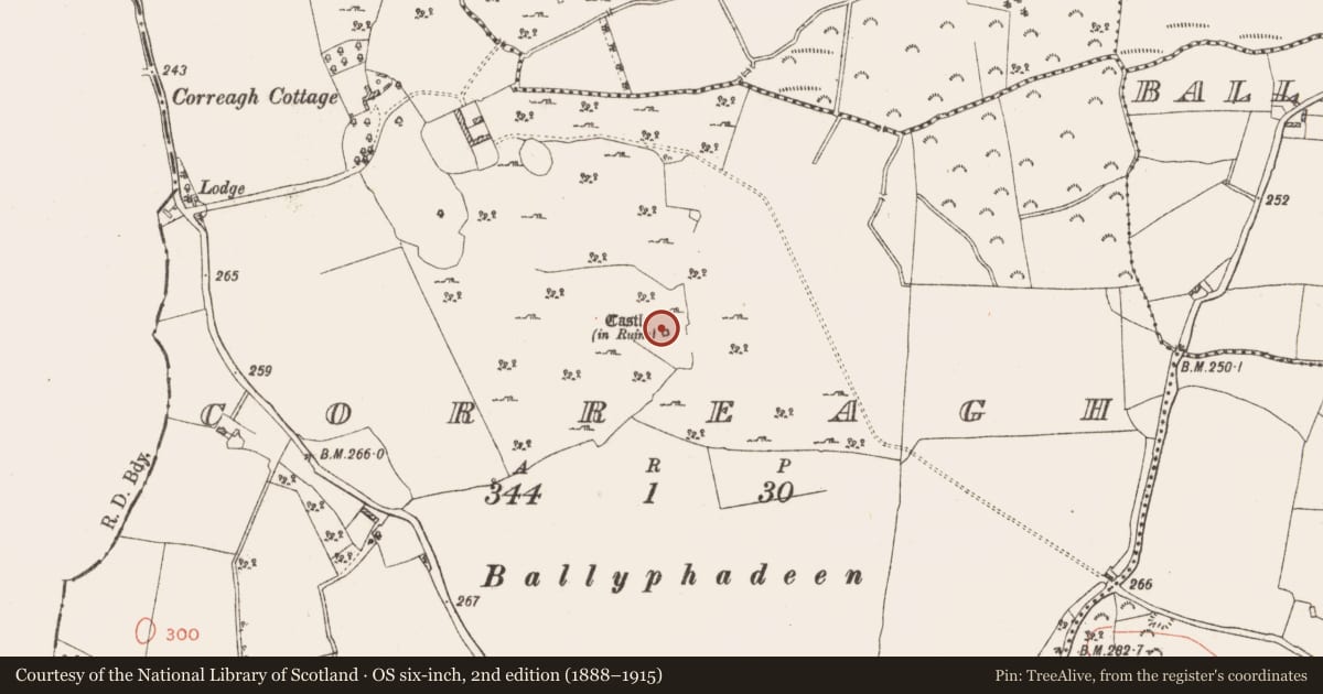 Ordnance Survey six-inch map, 2nd edition (1888–1915) covering the location of Burial, Correagh, County Westmeath, with a pin at the register's coordinates