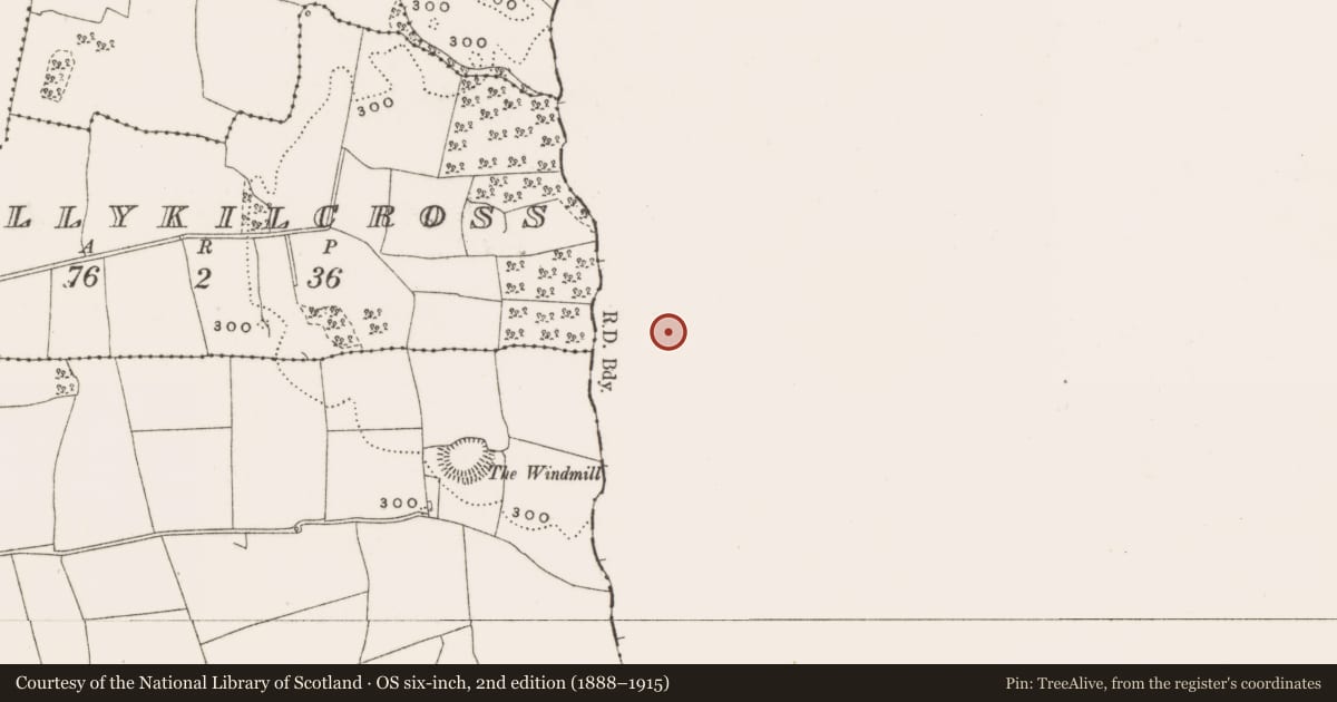 Ordnance Survey six-inch map, 2nd edition (1888–1915) covering the location of Ringfort - rath, Ballard, County Westmeath, with a pin at the register's coordinates