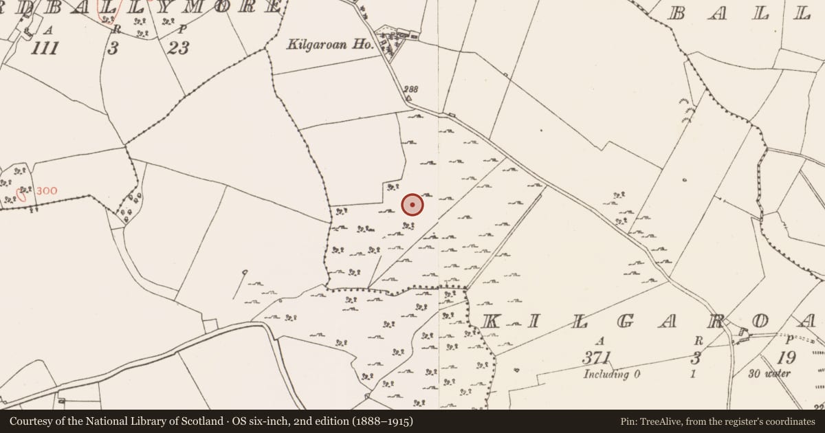 Ordnance Survey six-inch map, 2nd edition (1888–1915) covering the location of Cist, Kilgaroan, County Westmeath, with a pin at the register's coordinates