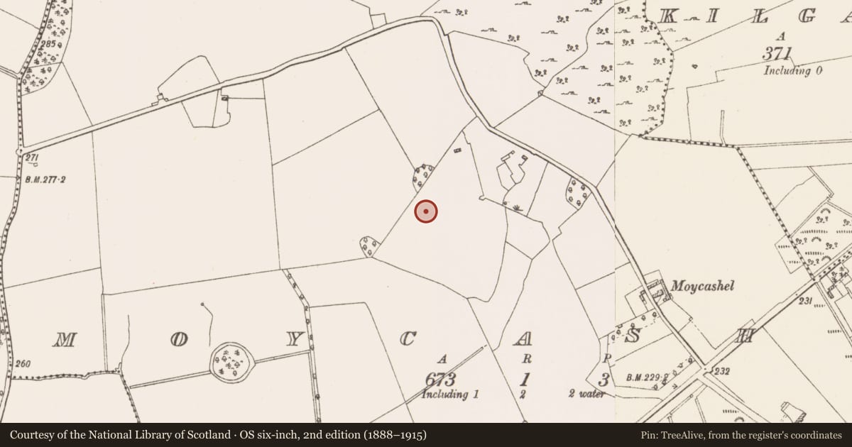 Ordnance Survey six-inch map, 2nd edition (1888–1915) covering the location of Castle - unclassified, Moycashel, County Westmeath, with a pin at the register's coordinates