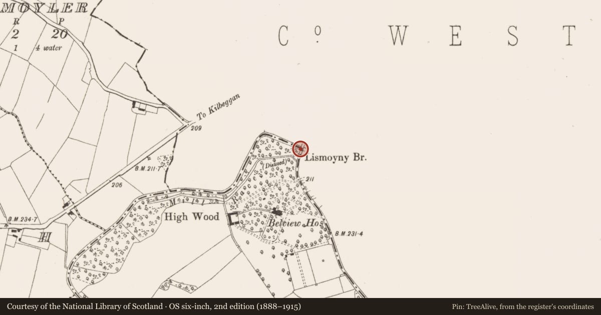 Ordnance Survey six-inch map, 2nd edition (1888–1915) covering the location of Bridge, Lismoyny, County Westmeath, with a pin at the register's coordinates