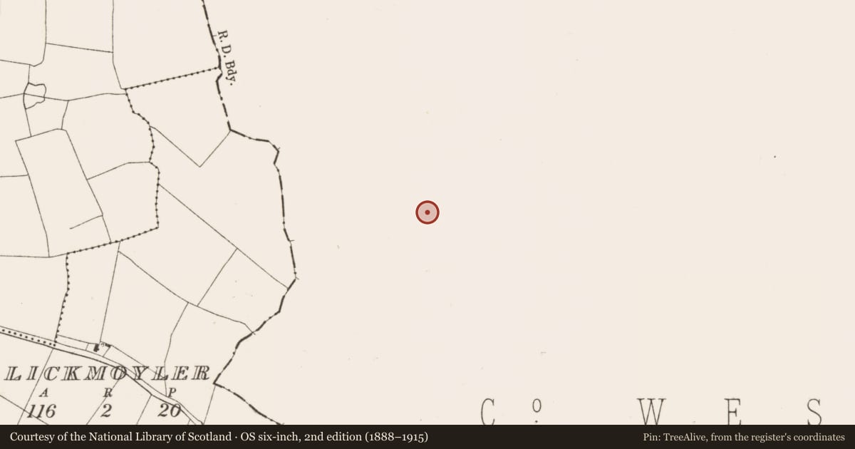 Ordnance Survey six-inch map, 2nd edition (1888–1915) covering the location of Burial, Ballard, County Westmeath, with a pin at the register's coordinates
