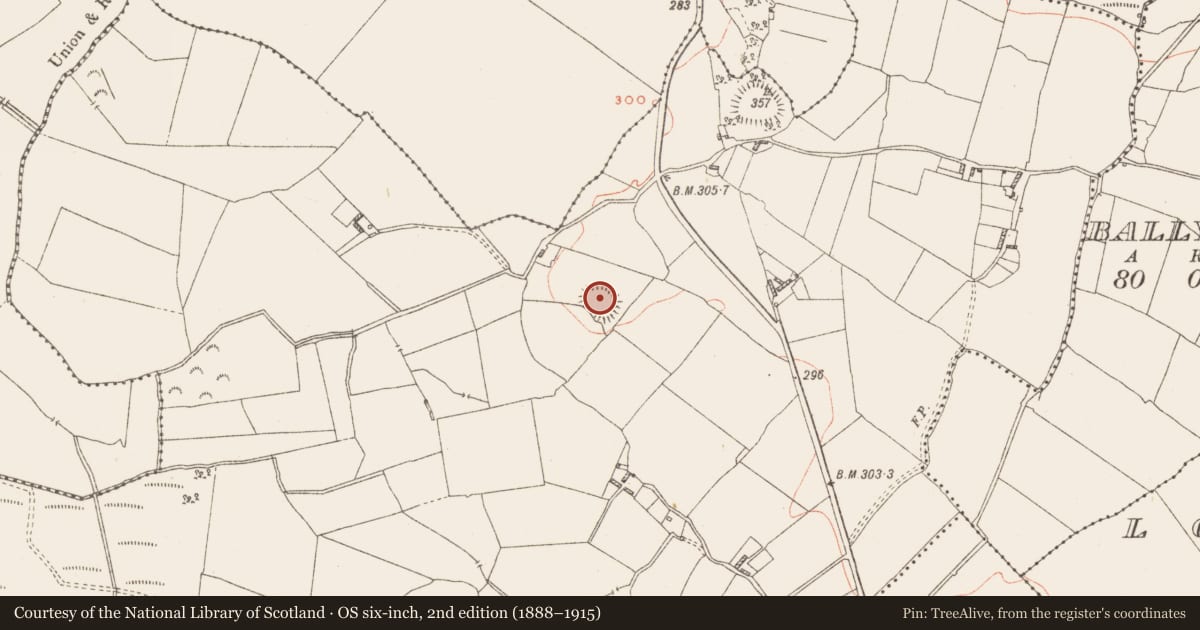 Ordnance Survey six-inch map, 2nd edition (1888–1915) covering the location of Ringfort - rath, Ballymacmorris, County Westmeath, with a pin at the register's coordinates