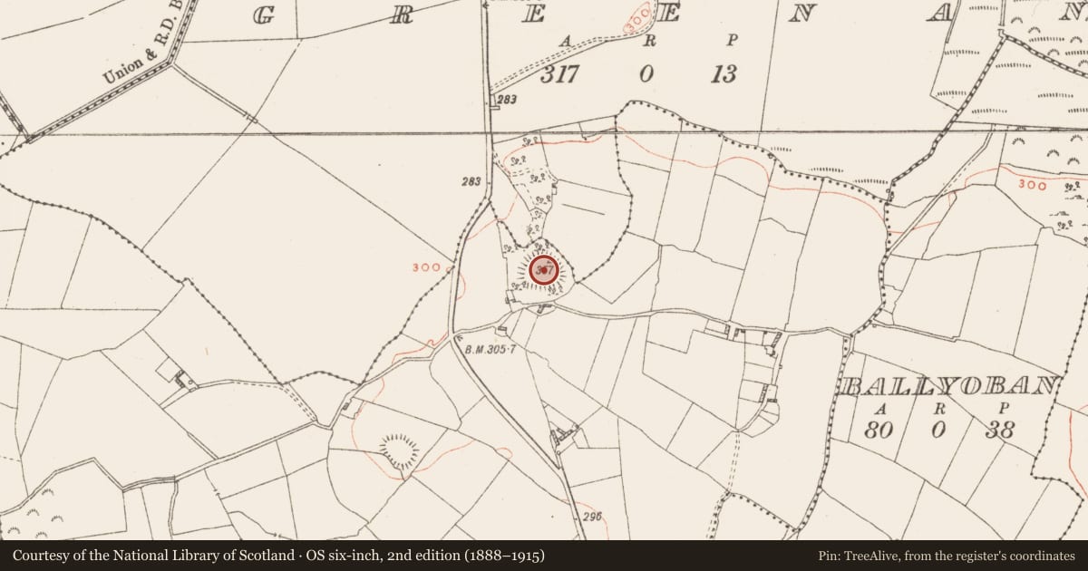 Ordnance Survey six-inch map, 2nd edition (1888–1915) covering the location of Ringfort - rath, Ballymacmorris, County Westmeath, with a pin at the register's coordinates