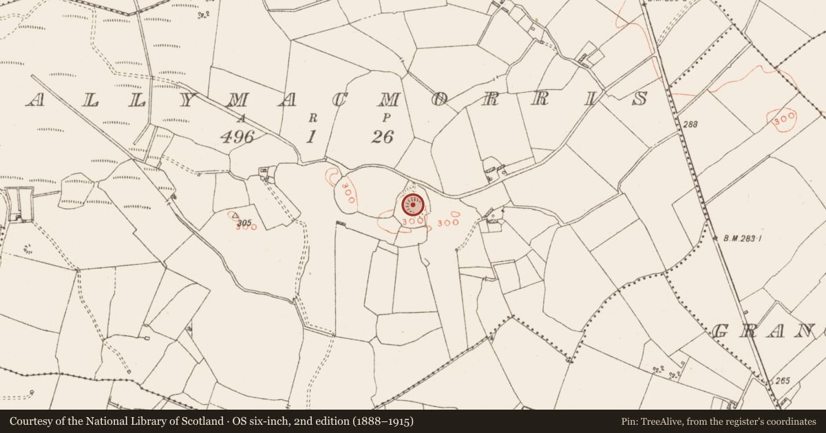 Ordnance Survey six-inch map, 2nd edition (1888–1915) covering the location of Ringfort - rath, Ballymacmorris, County Westmeath, with a pin at the register's coordinates