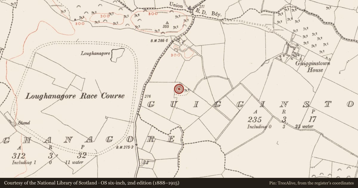 Ordnance Survey six-inch map, 2nd edition (1888–1915) covering the location of Ringfort - rath, Guigginstown, County Westmeath, with a pin at the register's coordinates