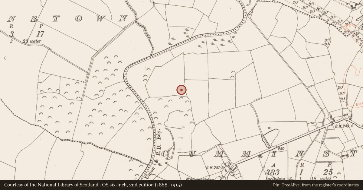 Ordnance Survey six-inch map, 2nd edition (1888–1915) covering the location of Barrow - unclassified, Cumminstown, County Westmeath, with a pin at the register's coordinates