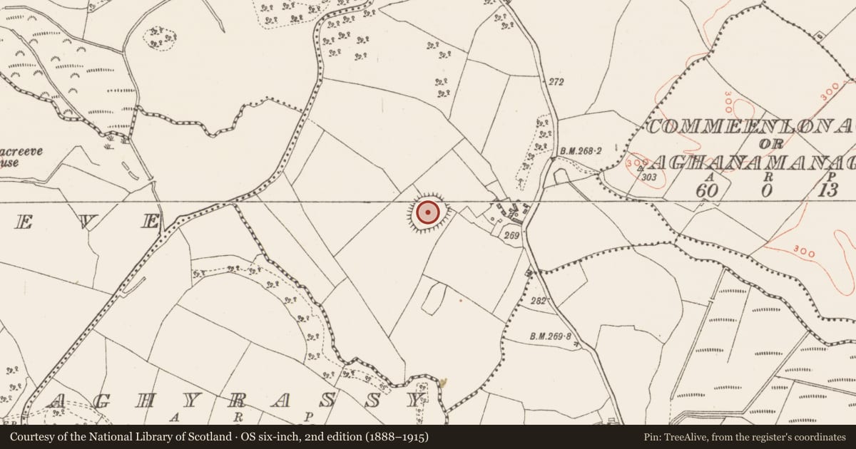 Ordnance Survey six-inch map, 2nd edition (1888–1915) covering the location of Ringfort - rath, Knockmore, County Westmeath, with a pin at the register's coordinates