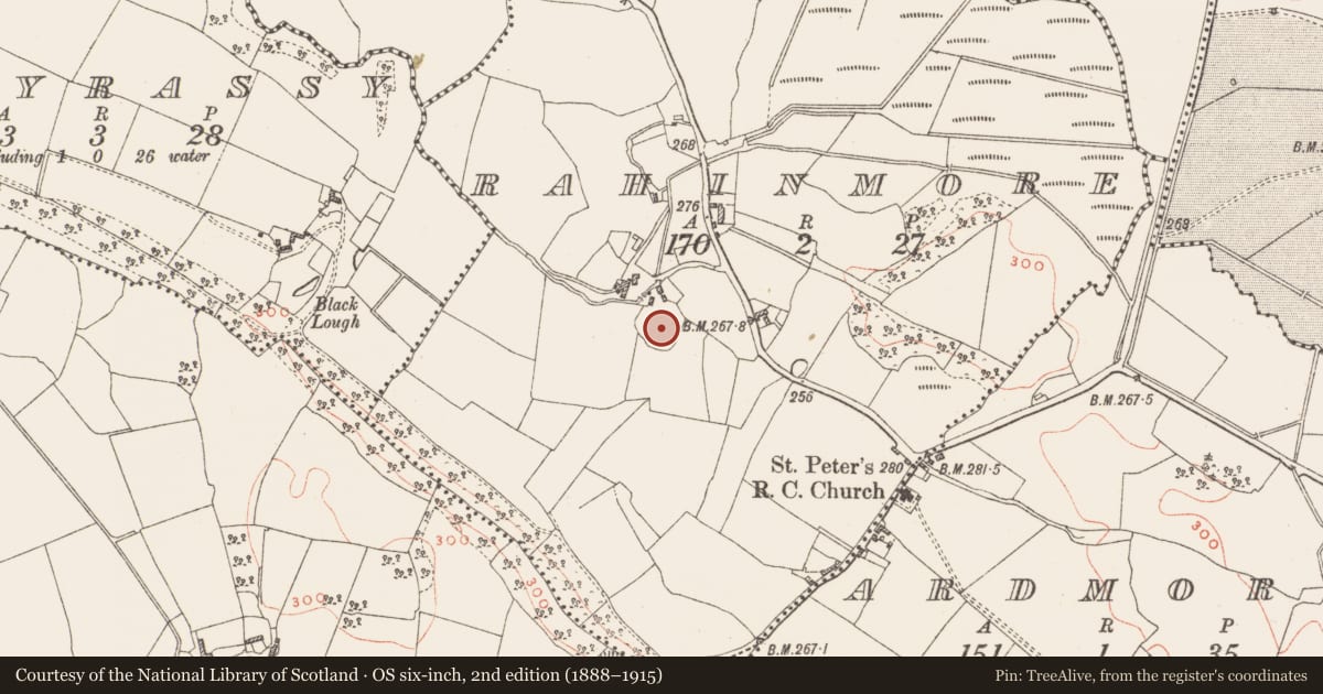 Ordnance Survey six-inch map, 2nd edition (1888–1915) covering the location of Enclosure - large enclosure, Rahinmore, County Westmeath, with a pin at the register's coordinates