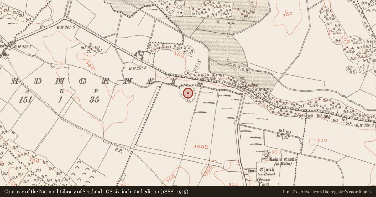 Ordnance Survey six-inch map, 2nd edition (1888–1915) covering the location of Ringfort - rath, Newtownlow, County Westmeath, with a pin at the register's coordinates