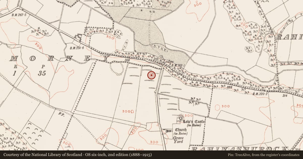 Ordnance Survey six-inch map, 2nd edition (1888–1915) covering the location of Crannog, Newtownlow, County Westmeath, with a pin at the register's coordinates