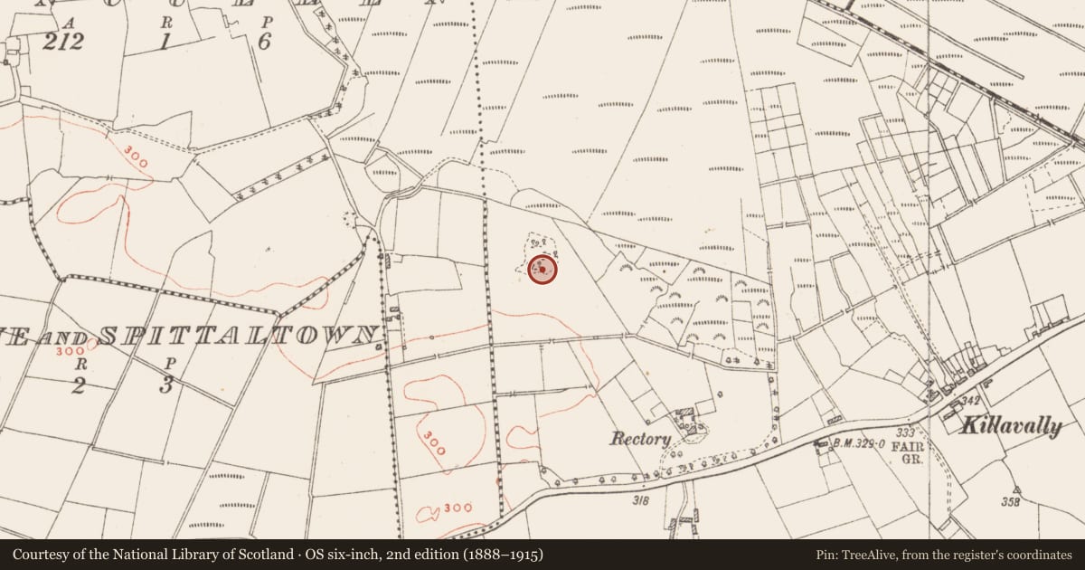 Ordnance Survey six-inch map, 2nd edition (1888–1915) covering the location of Enclosure, Killavally, County Westmeath, with a pin at the register's coordinates
