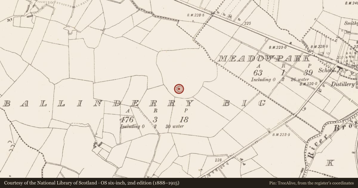 Ordnance Survey six-inch map, 2nd edition (1888–1915) covering the location of Ringfort - rath, Ballinderry Big, County Westmeath, with a pin at the register's coordinates