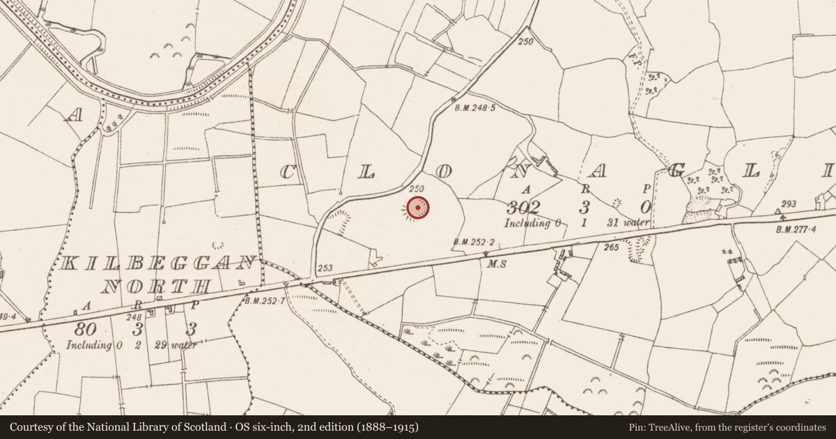 Ordnance Survey six-inch map, 2nd edition (1888–1915) covering the location of Ringfort - rath, Clonaglin, County Westmeath, with a pin at the register's coordinates