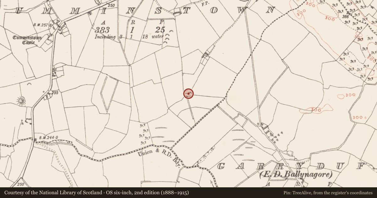 Ordnance Survey six-inch map, 2nd edition (1888–1915) covering the location of Barrow - stepped barrow, Cumminstown, County Westmeath, with a pin at the register's coordinates