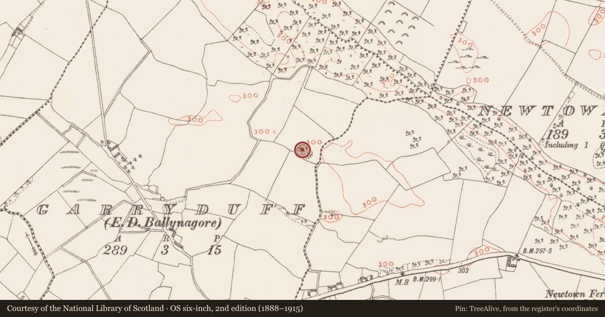 Ordnance Survey six-inch map, 2nd edition (1888–1915) covering the location of Ringfort - rath, Garryduff, County Westmeath, with a pin at the register's coordinates