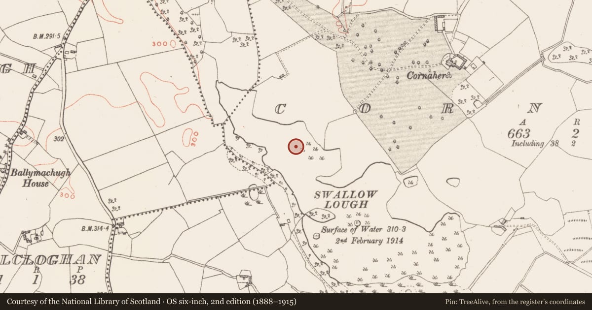 Ordnance Survey six-inch map, 2nd edition (1888–1915) covering the location of Flat cemetery, Rahinashurock, County Westmeath, with a pin at the register's coordinates