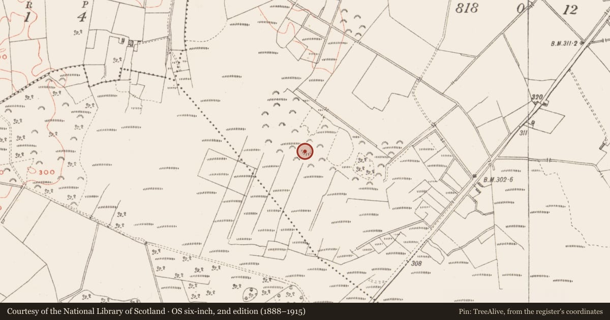 Ordnance Survey six-inch map, 2nd edition (1888–1915) covering the location of Ringfort - unclassified, Killavally, County Westmeath, with a pin at the register's coordinates