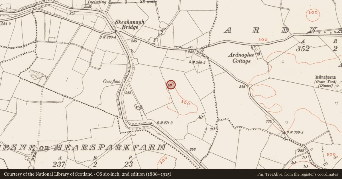 Ordnance Survey six-inch map, 2nd edition (1888–1915) covering the location of Ringfort - unclassified, Skeahanagh, County Westmeath, with a pin at the register's coordinates