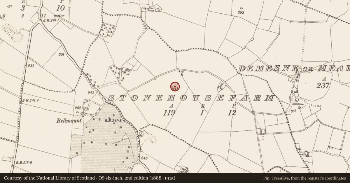 Ordnance Survey six-inch map, 2nd edition (1888–1915) covering the location of Ringfort - rath, Stonehousefarm, County Westmeath, with a pin at the register's coordinates
