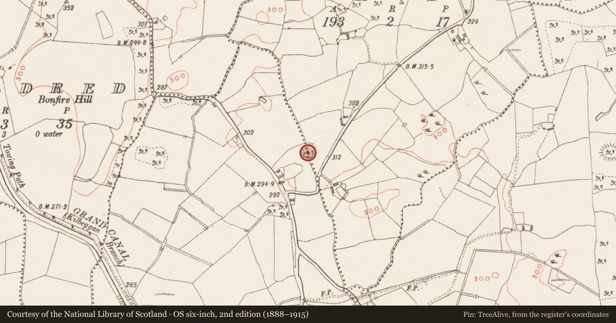 Ordnance Survey six-inch map, 2nd edition (1888–1915) covering the location of Ringfort - rath, Ardan, Grange And Kiltober, County Westmeath, with a pin at the register's coordinates
