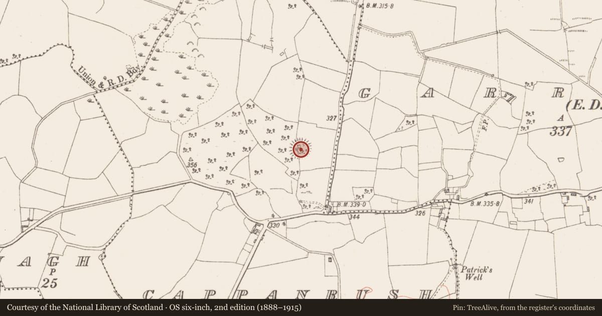 Ordnance Survey six-inch map, 2nd edition (1888–1915) covering the location of Ringfort - rath, Cappanrush, County Westmeath, with a pin at the register's coordinates