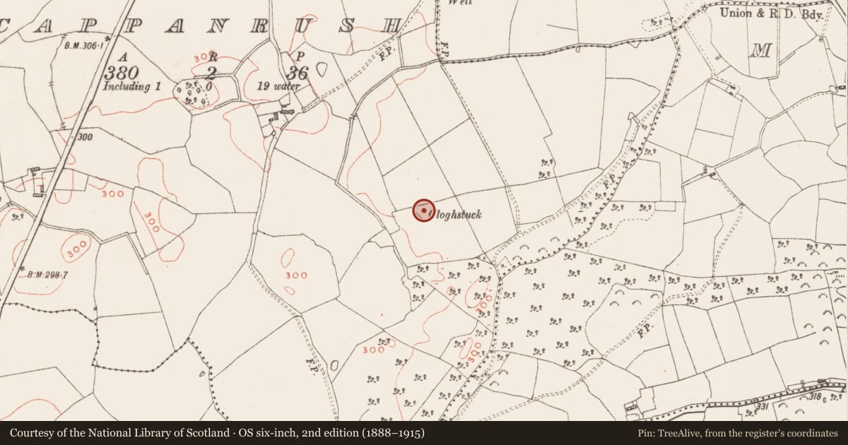 Ordnance Survey six-inch map, 2nd edition (1888–1915) covering the location of Standing stone, Cappanrush, County Westmeath, with a pin at the register's coordinates