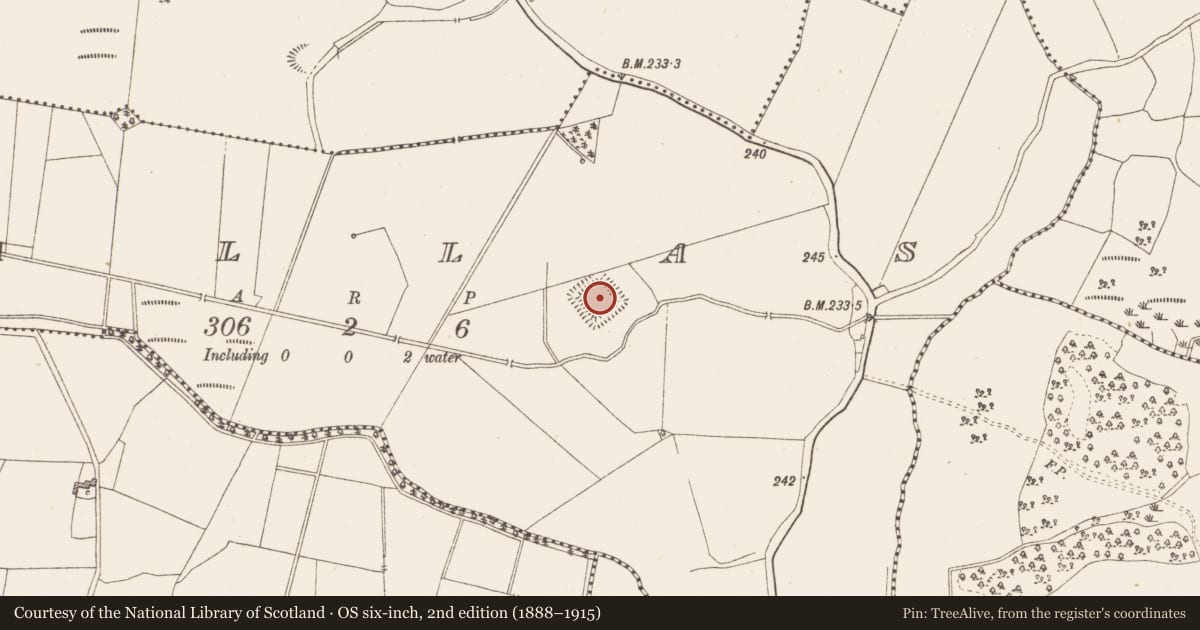 Ordnance Survey six-inch map, 2nd edition (1888–1915) covering the location of Moated site, Pallas, County Westmeath, with a pin at the register's coordinates