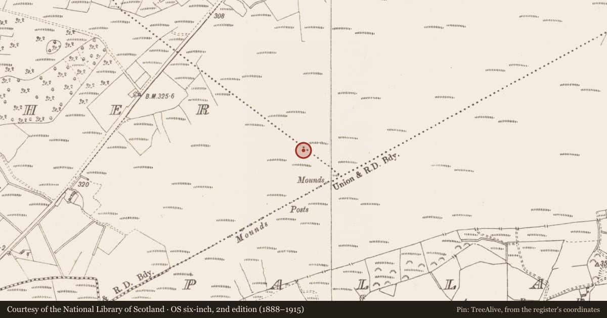 Ordnance Survey six-inch map, 2nd edition (1888–1915) covering the location of Structure - peatland, Cornaher, County Westmeath, with a pin at the register's coordinates