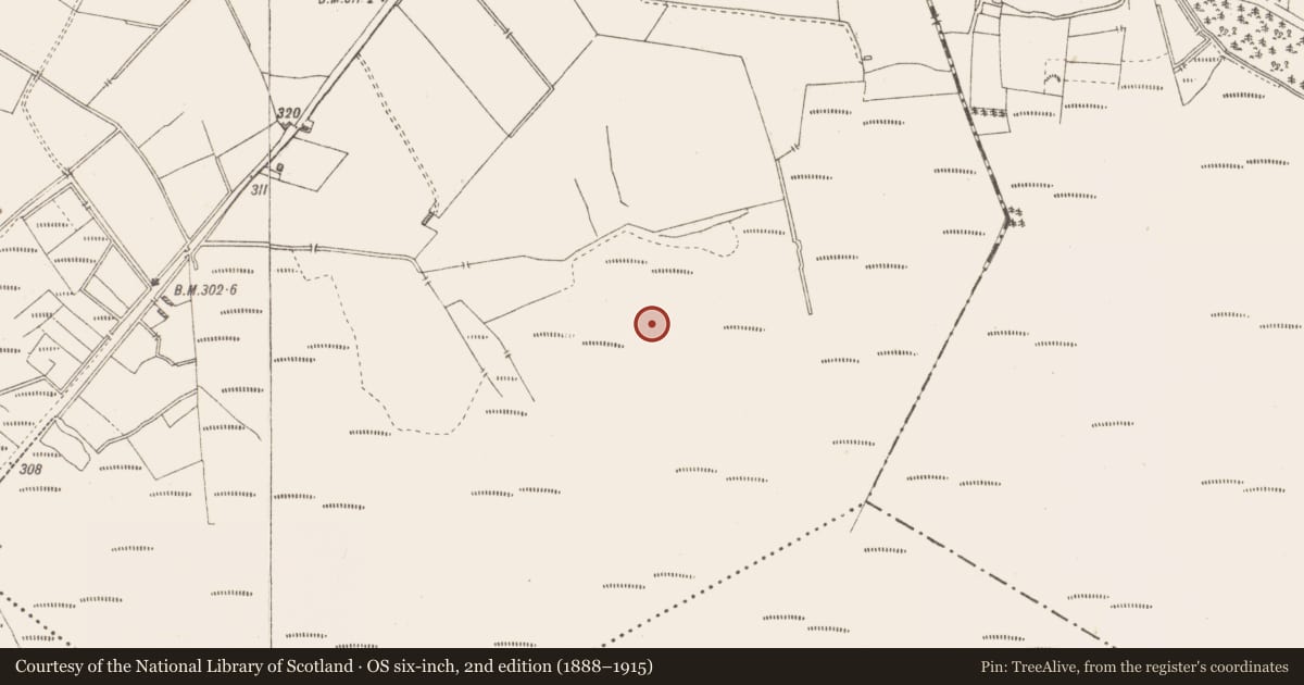 Ordnance Survey six-inch map, 2nd edition (1888–1915) covering the location of Structure - peatland, Killavally, County Westmeath, with a pin at the register's coordinates